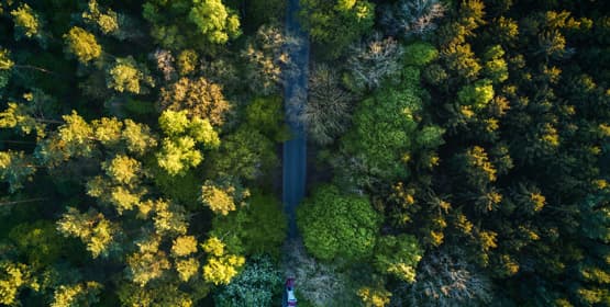 The Basics Of Buying A Telescope